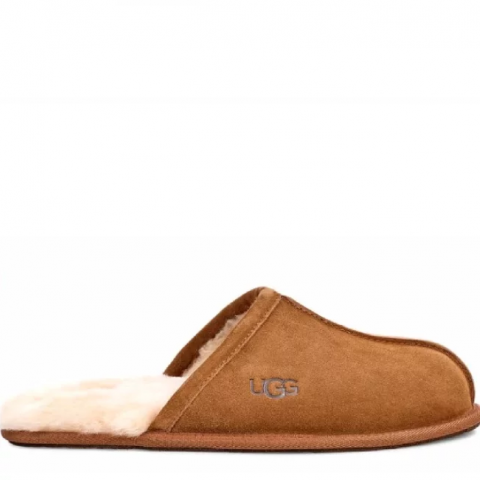 Ugg Men Scuff - Chestnut